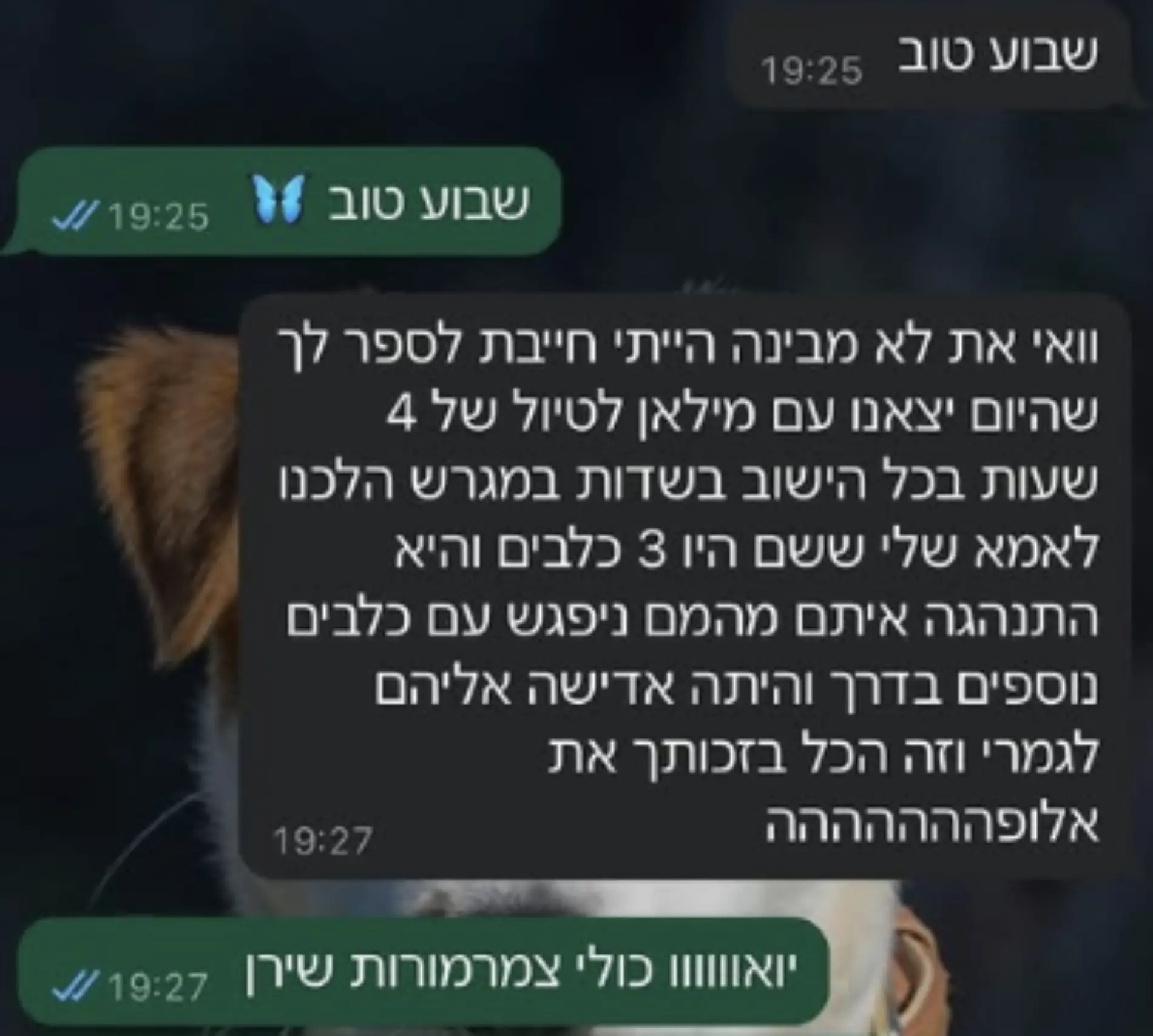 צילום מסך 2025-03-16 113058