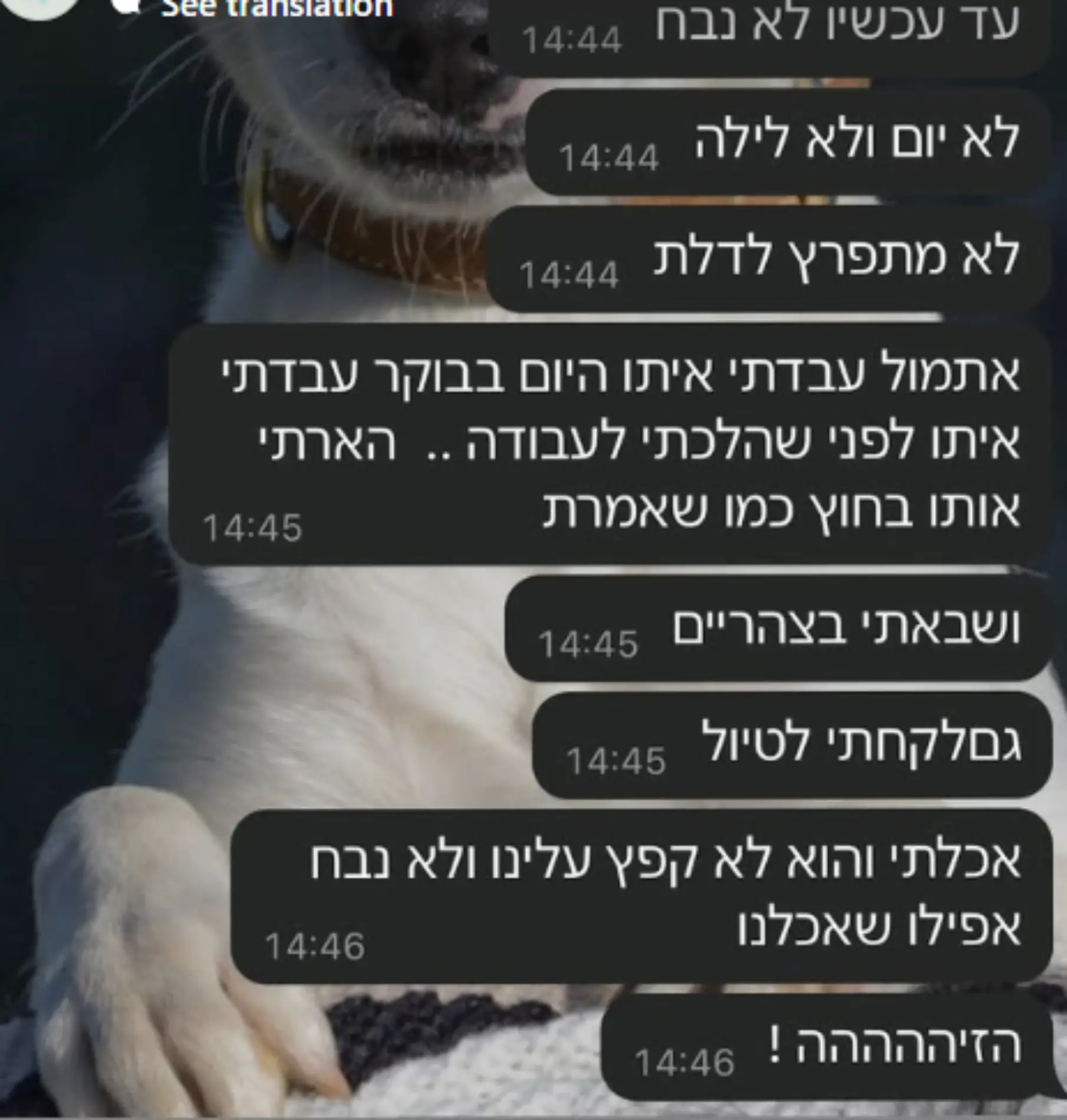 צילום מסך 2025-03-16 113206