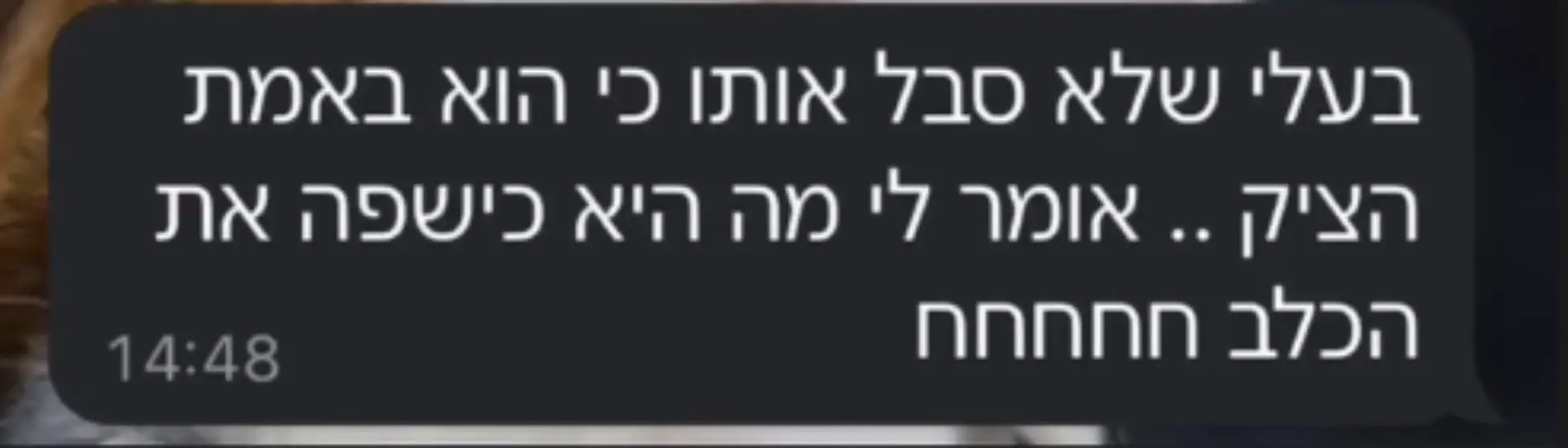 צילום מסך 2025-03-16 113218