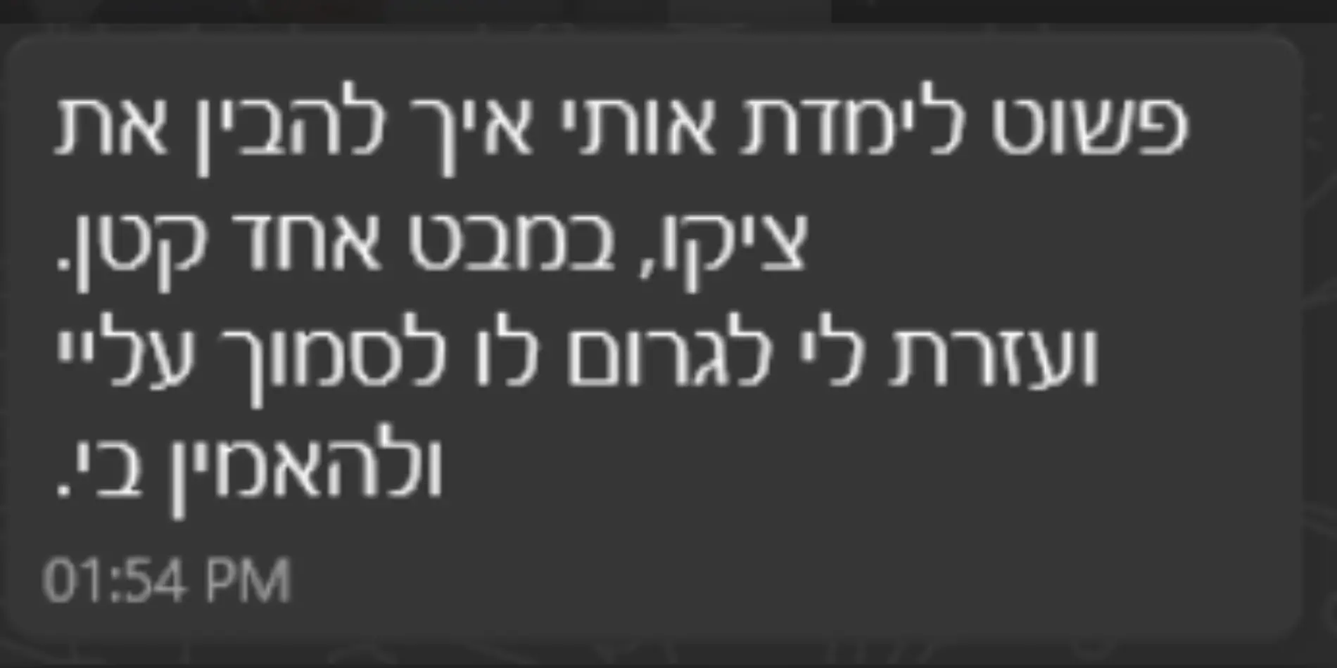 צילום מסך 2025-08-24 180655