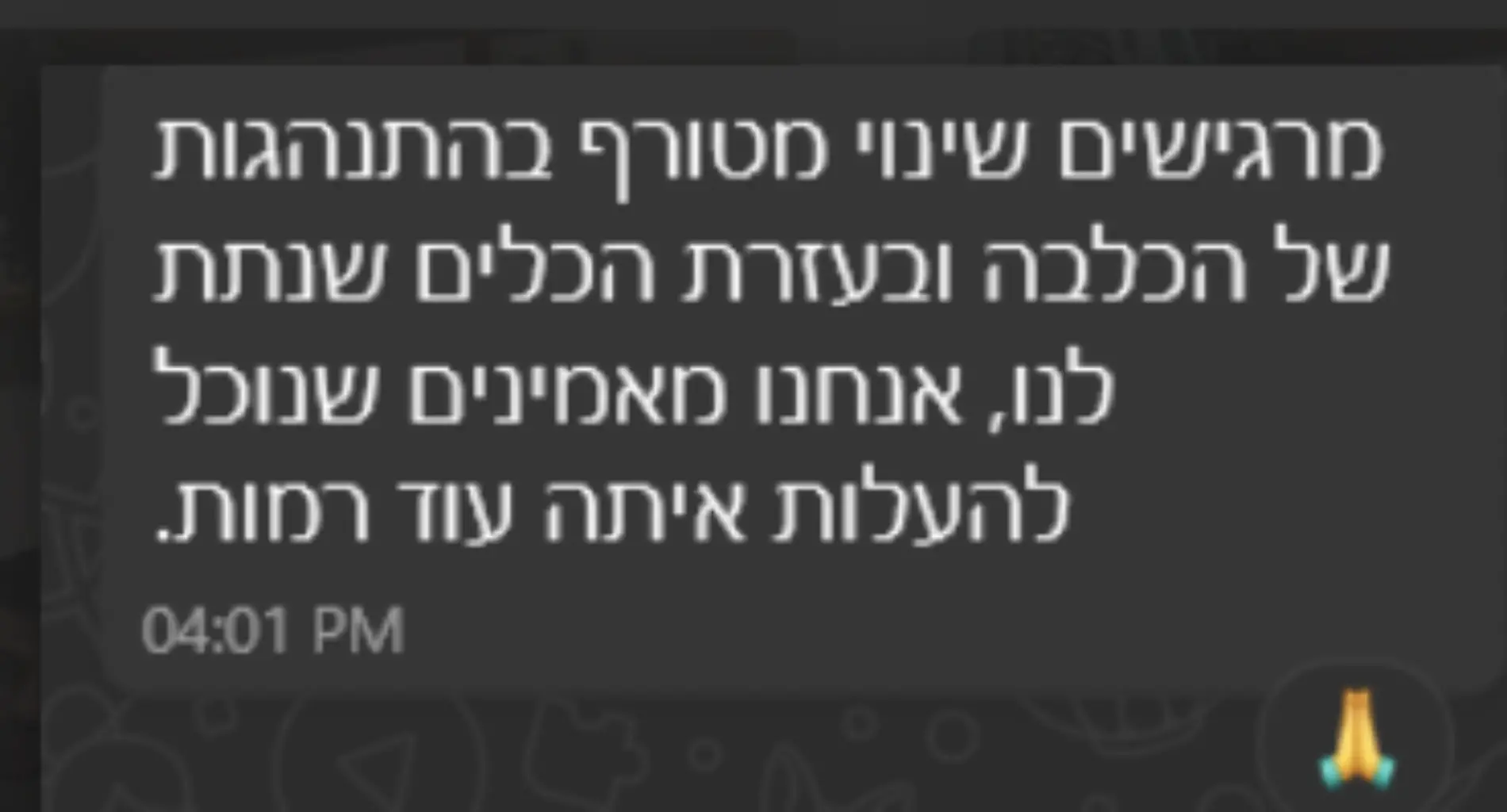צילום מסך 2025-08-24 180708