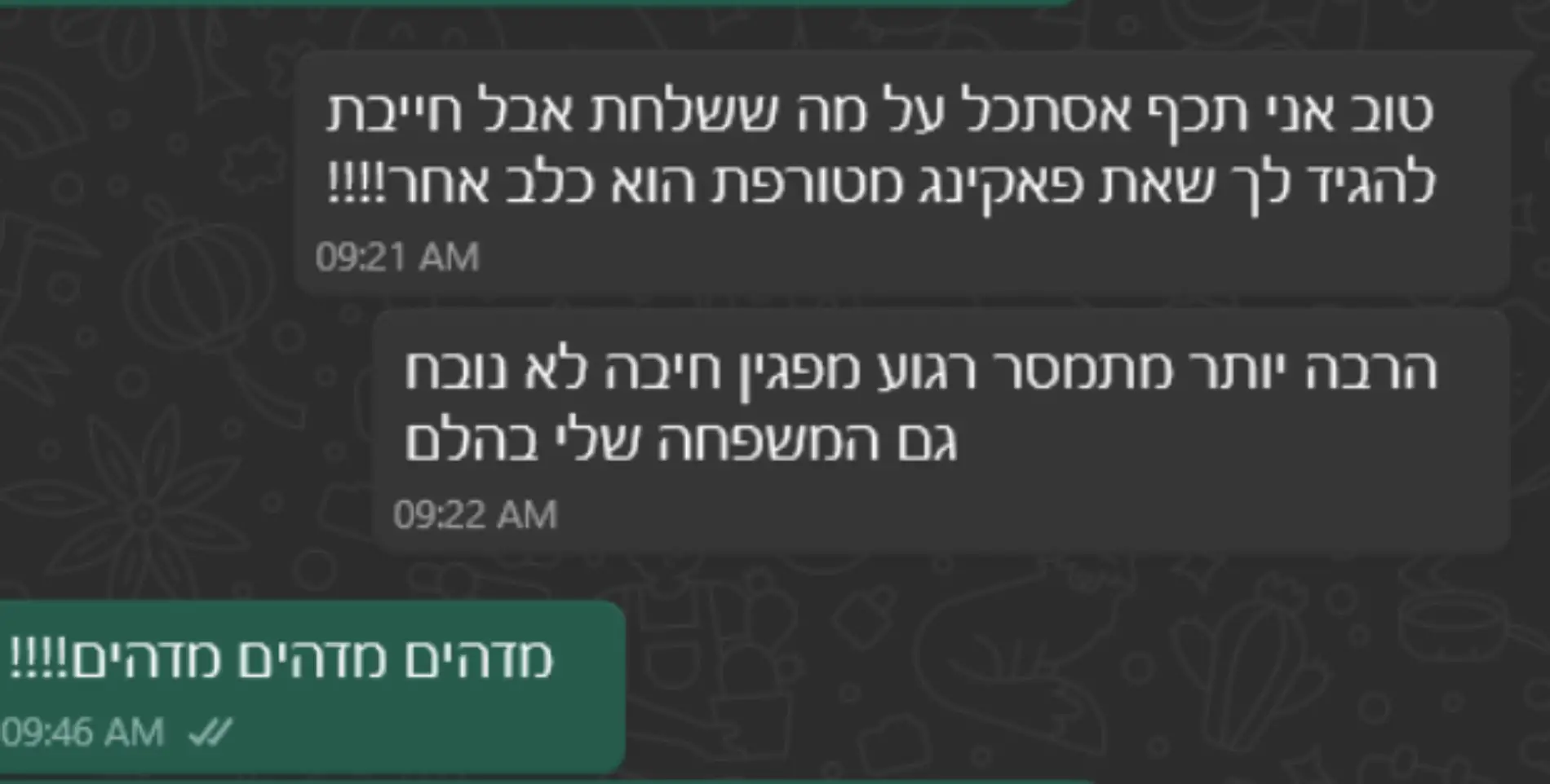 צילום מסך 2025-08-24 180727