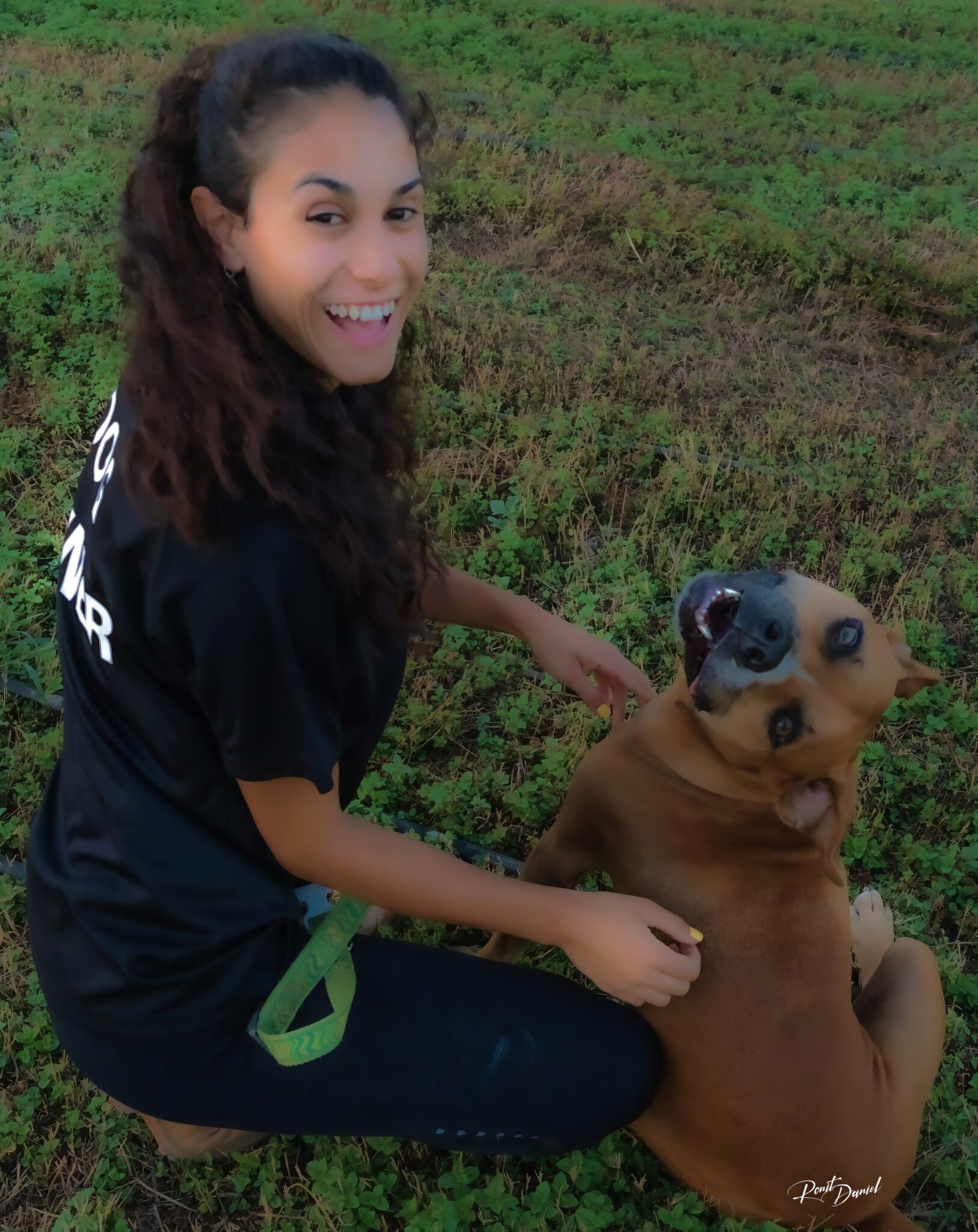 בוץ' — הפיטבול ששינה לי את החיים